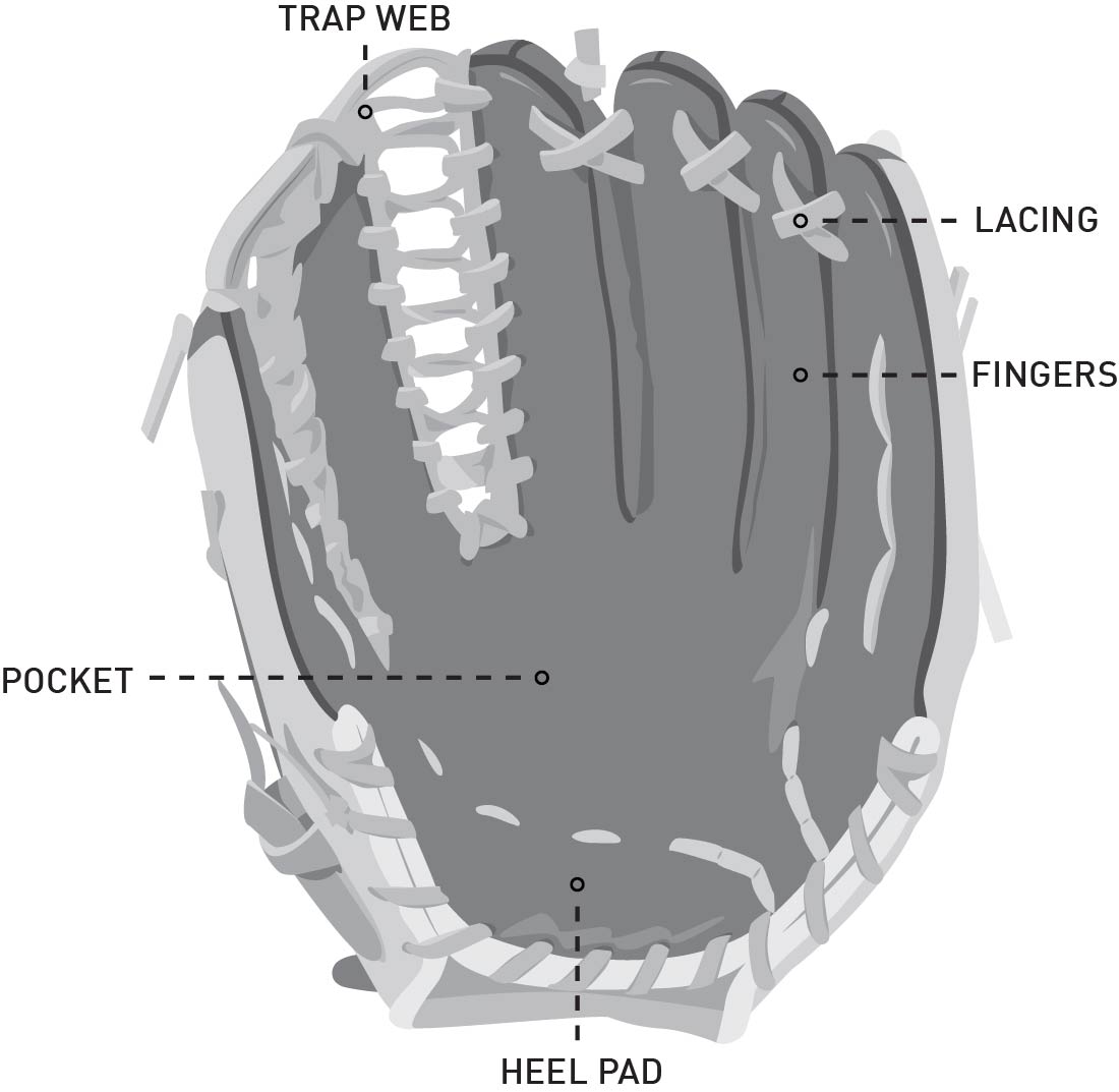BaseballGlove_Outfield_PT.jpg