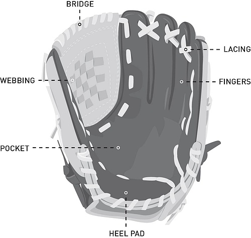 baseball-pitchers-glove.jpg